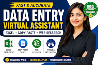 do accurate data entry, excel, copy paste and web research