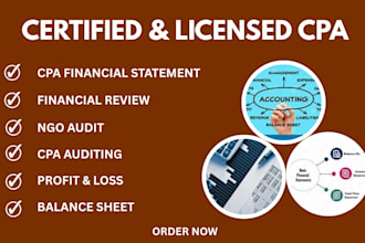 do ngo audit, cpa financial statement, financial review, financial complied