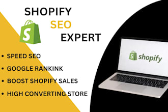 shopify seo shopify expert google ranking website