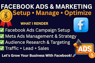 setup and manage facebook ads campaign and meta ads marketing