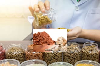 formulate healthy pet food recipes as a certified veterinarian