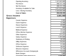 generate income statement according to your accounts