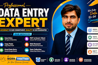 data entry expert  web research and composing
