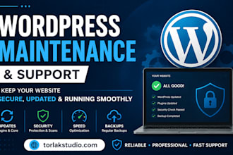 maintain, update and secure your wordpress website