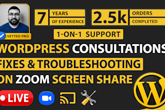 do live wordpress consultations, fixes, and troubleshooting on zoom screen share