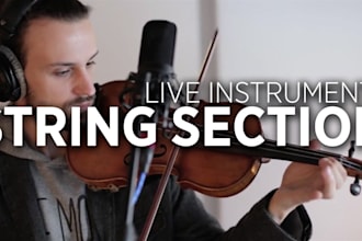 record live orchestral strings section using violin, viola or cello for you