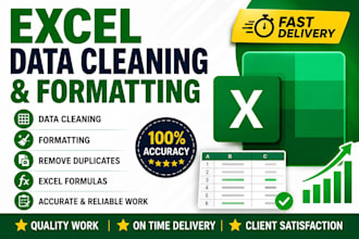 excel data cleaning and spreadsheet formatting