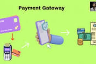 setup 2d, 3d payment link, payment processor, paypal, wise, payment gateway