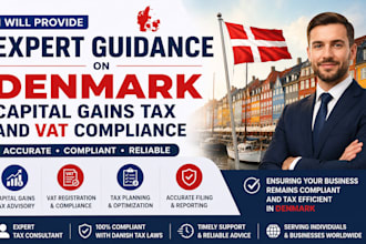 provide expert denmark vat and corporate tax consultation