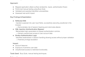 perform professional website security testing