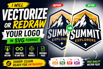 manually vectorize or redraw your logo