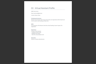 write a professional CV and cover letter