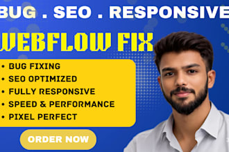 fix webflow bugs, responsive design issues, SEO, animations and editor problems