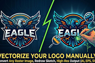 convert any raster image or logo to a clean vector