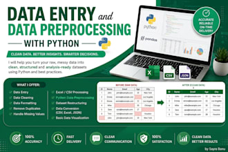 do data entry and data preprocessing with python