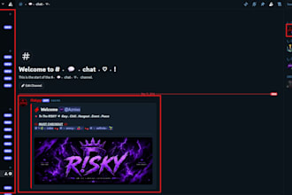 setup a professional discord server