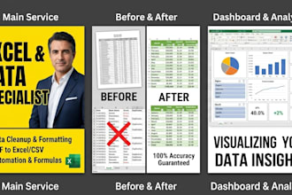 perform expert data cleanup excel formatting and dashboard creation