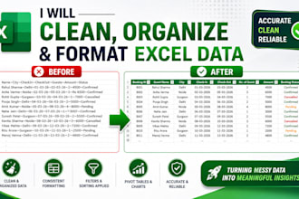 clean, organize and format excel data
