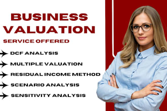 do professional business valuation, financial analysis or investment appraisal