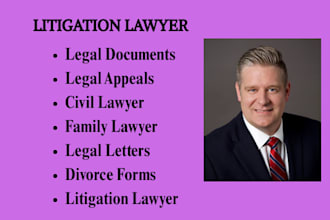 be florida civil lawyer in civil law, lawsuits, motions, family law, child law