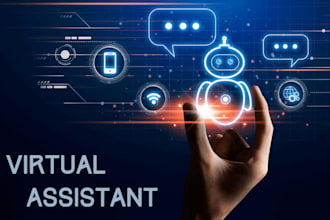 expert data entry and admin support as a virtual assistant