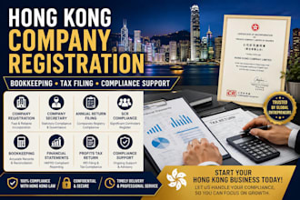 provide hong kong company registration bookkeeping tax filing and ird filling