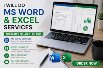 provide professional microsoft word and excel services
