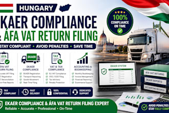 handle hungary ekaer compliance and Áfa vat return filing