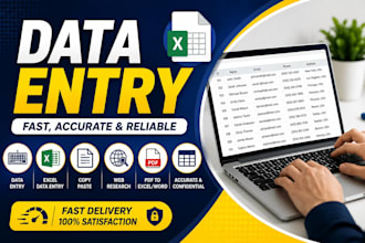 do data entry, excel cleanup, web research and copy paste