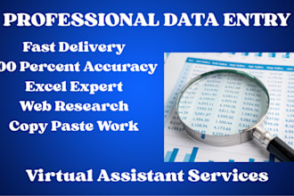 do fast and accurate PDF to excel data entry in 24h