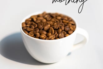 design aesthetic instagram and facebook posts in canva