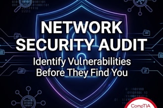 perform a cybersecurity audit and secure your network
