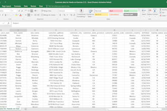 help you with basic excel tasks including data entry, cleaning, formatting etc