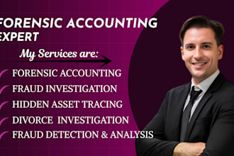 perform forensic accounting for court reports, divorce, and fraud investigation