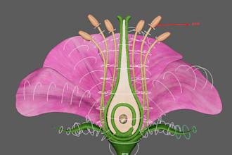 create game ready prop rig vehicle rig, machine rig animal outfit prop animation