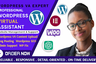 be your wordpress virtual assistant and website manager