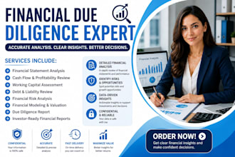 conduct financial due diligence for dutch companies