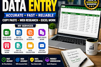do accurate data entry, copy paste, web research and excel work
