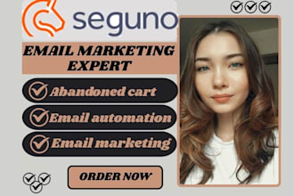 setup seguno abandoned cart recovery seguno email automation