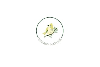 design unique bird homes logo