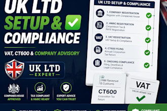 advise on the best UK ltd structure vat ct600 and company setup