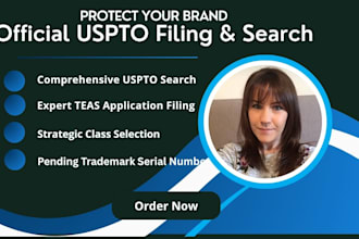 do uspto trademark filing and search for brand registry