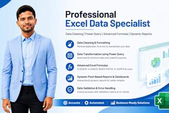 do excel formulas, data cleaning and powerquery transformation,dynamic report