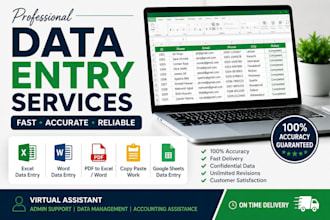 do accurate data entry and excel work