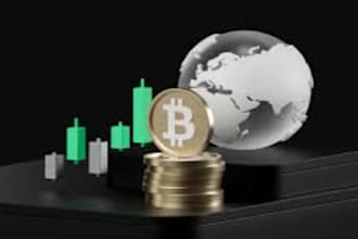 perfectly deliver crypto invest btc and ustd,  ustd platform