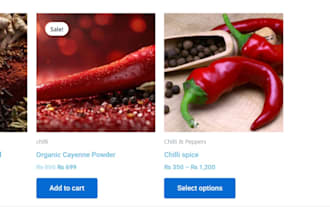 built an seo optimized wordpress woocommerce   website