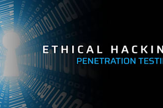 perform ethical hacking and website security testing