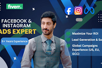 provide a professional meta ads strategy for maximum roas