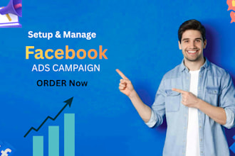create and manage facebook ads campaign