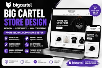 design, customize and setup your big cartel store professionally